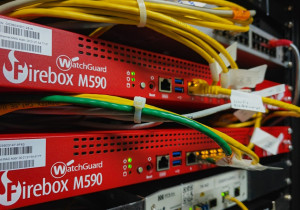 WatchGuard Rai assume a primeira linha de defesa nos serviços geridos